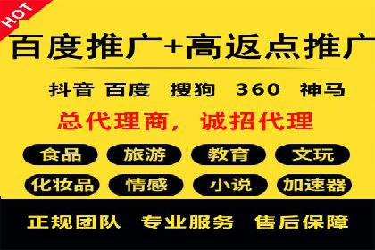 竞价广告的智能投放：XX平台的创新实践